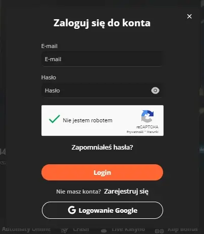 Formularz-logowania-BruceBet-Casino